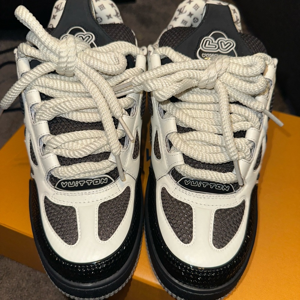 Louis vuitton LV skates